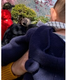 babyGAP | ママ＆ベビー