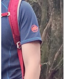 Mammut | スウェット