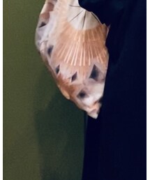 ｻｸﾞﾗﾀﾞﾌｧﾐﾘｱ | トートバッグ