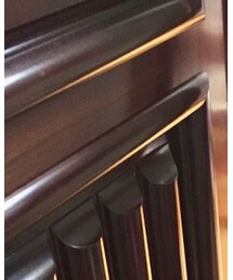 ems excite | シャツ/ブラウス