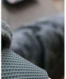 no brand | その他パンツ