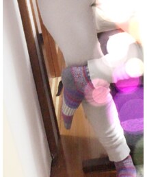 雑貨屋さん | ソックス/靴下