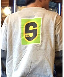 STUSSY | Tシャツ/カットソー