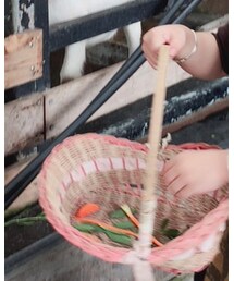 Mia    | トップス