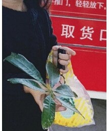 Mia    | トップス