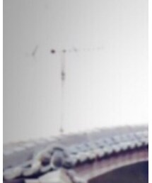 MJUKA. | ワンピース