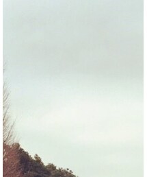 靖国神社 | その他