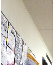 今日誕生日 | トップス