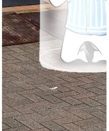 LAWSON | 食器/キッチン