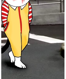 ドナルドの私物 | オールインワン・サロペット