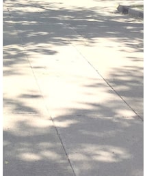 YMC | トレンチコート