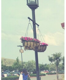 GLASENSE | サングラス