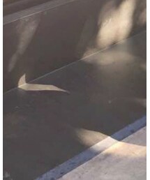 COMMON PROJECTS | ドレスシューズ