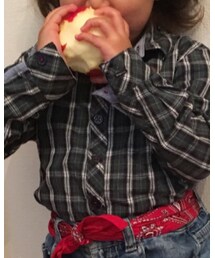 Arnold Palmer | シャツ/ブラウス