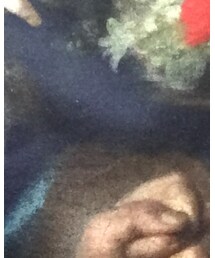 Supreme  | パーカー