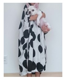 Korea | ワンピース