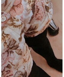 UNIQLO | タイツ/ストッキング