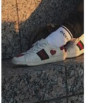 GUCCI | (Sneakers)