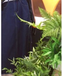 MOUSSY | デニムスカート