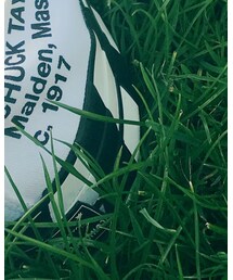 Converse Chuck Taylor 70 x Off White | スニーカー