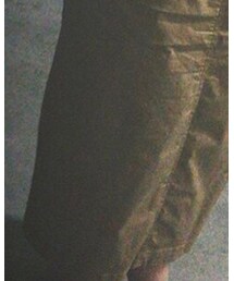 LOWRYS FARM | スカート