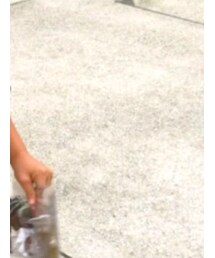 ティラノサウルス | その他