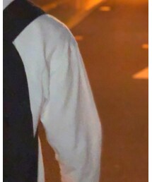 STUSSY | Tシャツ/カットソー