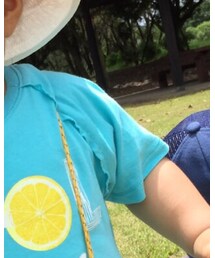 ZARA | Tシャツ/カットソー