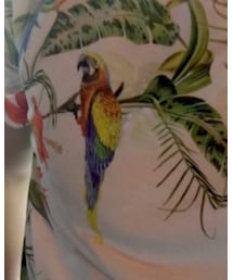 ZARA | Tシャツ/カットソー