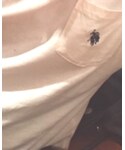 POLO RALPH LAUREN(ポロ ラルフ ローレン)の「トップス(Tシャツ/カットソー)」