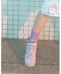 靴下屋 | ソックス/靴下