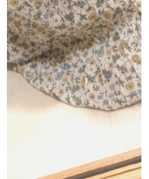 earth music &ecology  | スカート