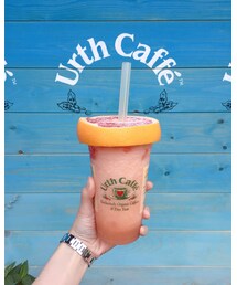 グレープフルーツグラニータ♡ | その他