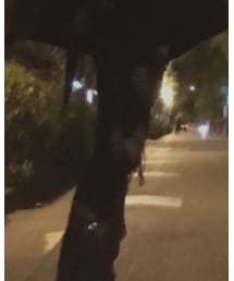 FOREVER 21 | パンツ