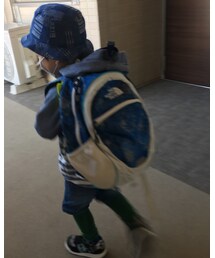 バックショット | その他