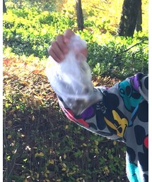 ビニール袋 | バッグ