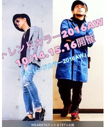 トレンドカラー2016AW告知 | その他