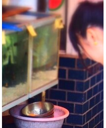 韓国 | Tシャツ/カットソー