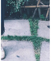 Reebok | スニーカー