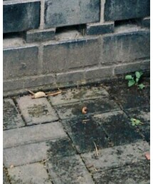 littegoods | シューズ