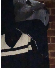 dog | Tシャツ/カットソー