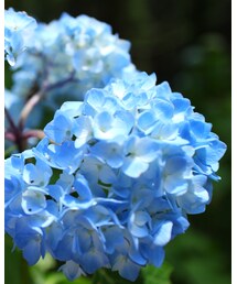 no brand | その他