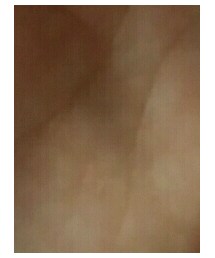 self nail | ハンドケア/ハンドクリーム