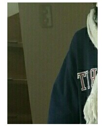 GU | スウェット