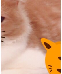 その他セレクト | その他