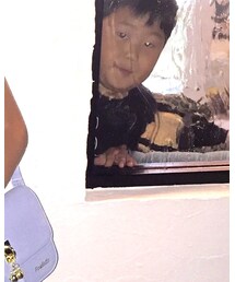 弟 | その他