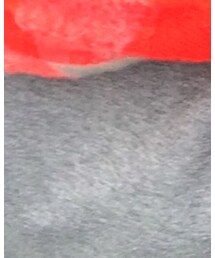 franchelippee | ストール/ショール