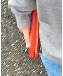 LOUIS VUITTON | 財布