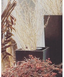 🌲 | フラワーベース