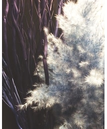 🌾 | フラワーベース
